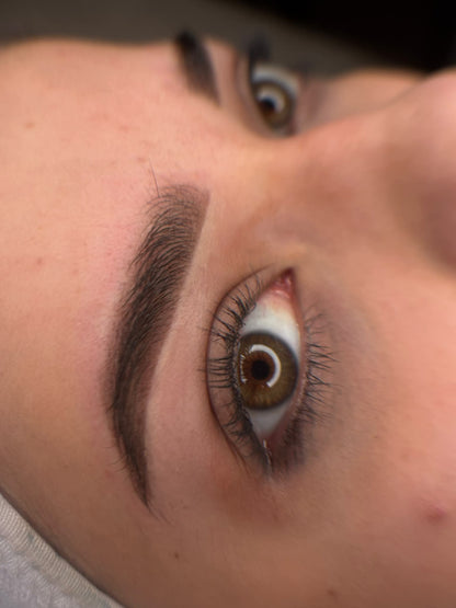 Пудра вежди